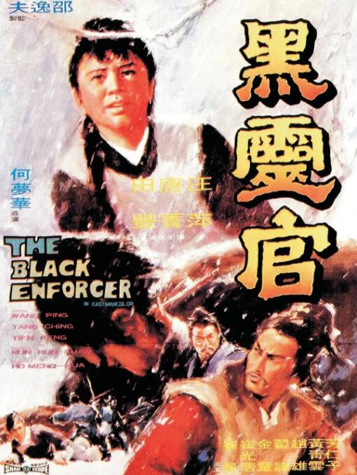 《花儿与少年》主视觉海报